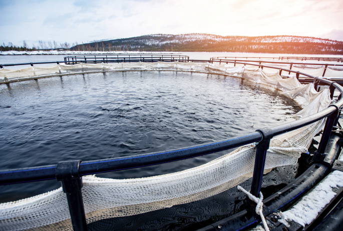 Aquaculture_technology Aquaculture_technology